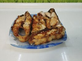 IMG_20260423_220926.jpg