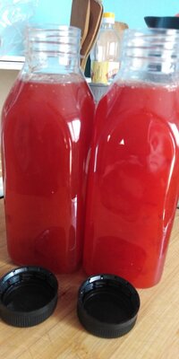 IMG_20260424_174857.jpg