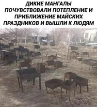 1777020240640.jpeg