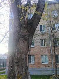 IMG20260424193941.jpg