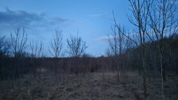 IMG_20260425_203704.jpg