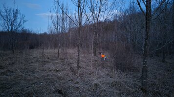 IMG_20260425_203746.jpg
