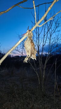 IMG_20260425_204410.jpg