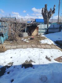 IMG_20260426_135332.jpg