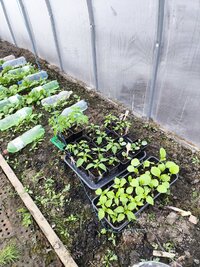 IMG_20260426_185054.jpg