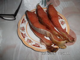 SAM_8087.JPG