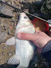 IMG_20260426_115946.jpg