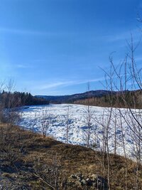 IMG_20260425_075631.jpg