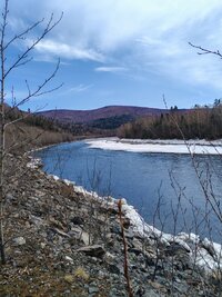 IMG_20260425_101805.jpg
