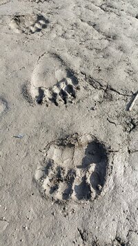 IMG_20260425_171921.jpg