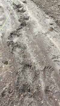 IMG_20260425_163936.jpg