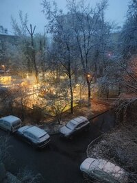 IMG20260427044451.jpg