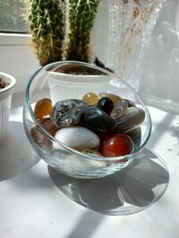 IMG-20260427-WA0003.jpg