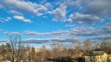 20260424_183642.jpg