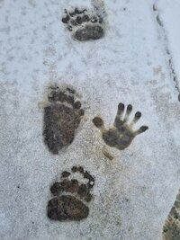 IMG_20260428_071439_437.jpg