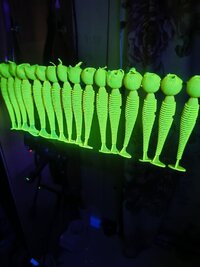 IMG_20260428_204052074.jpg