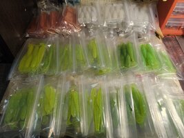 IMG_20260428_113732333.jpg