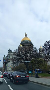 IMG_20260429_082650.jpg