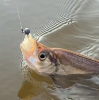 IMG_9182.jpeg