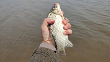 IMG_20260430_133624.jpg