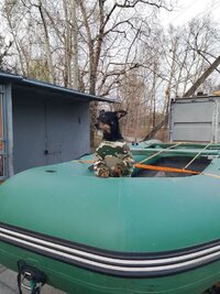 IMG_20260502_182548_716.jpg
