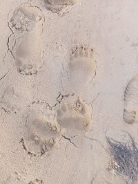 IMG_20260501_183123.jpg