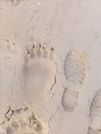 IMG_20260501_183129.jpg