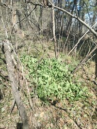 IMG_20260503_112527.jpg