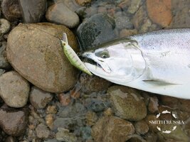 IMG_2284.JPG