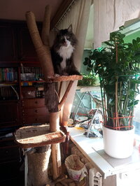 IMG_20260504_184337_567.jpg