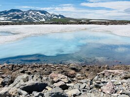 IMG_0130.jpg