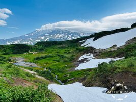 IMG_0175.jpg