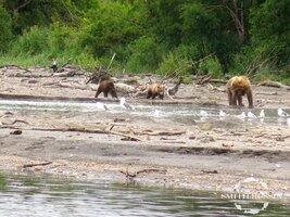 IMG_0338.JPG
