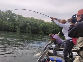 IMG_20240708_023441.jpg
