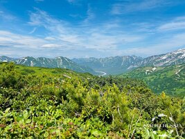 IMG_0129.jpg