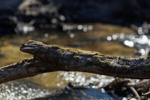 LLXG3rz6514g3tK6VUt43tugcqRUKpF0DKgSmeJPVQcJTUP3-8UojFosU0yp4m5zHDOFPUw9tXQcWJTSVjLnVcEc.jpg