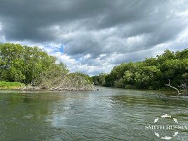 IMG_9446.JPG