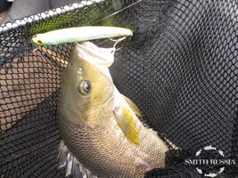 IMG_0305.JPG