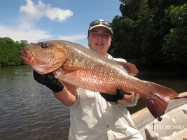 IMG_0346.JPG