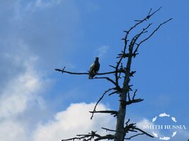 IMG_1017.JPG