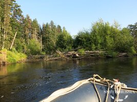 IMG_1028.JPG