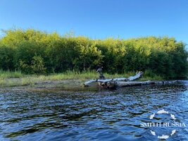 IMG_3774.JPG