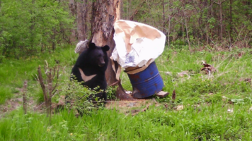 Снимок экрана (5).png