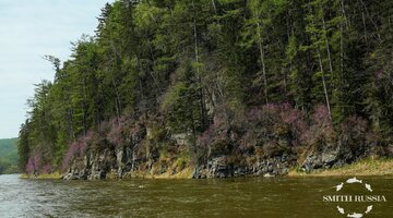 _DSC7585.jpg