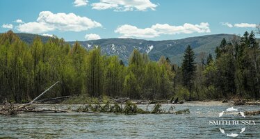 _DSC7082.jpg