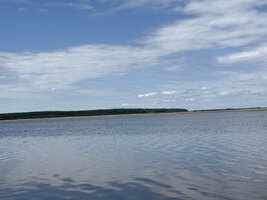 IMG_2589.jpeg