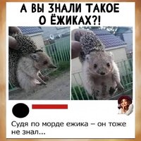 dc8eb1d1-5ee3-4e8a-bbe3-6be2b0a3505f.jpg