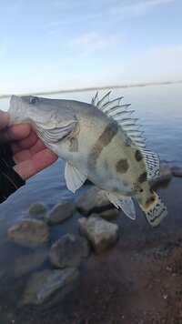IMG_20260609_072812_394.jpg