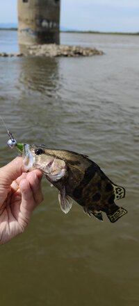 IMG_20260609_105627.jpg
