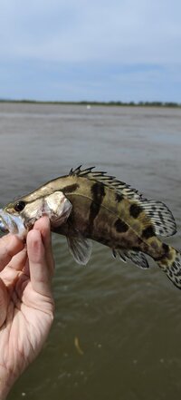 IMG_20260609_103924.jpg